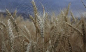 Turquia medeia negociações para exportação de cereais e fertilizantes russos