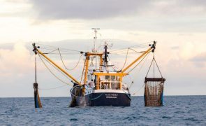 PE prolonga restrições de acesso de pesqueiros da UE a águas de outros Estados-membros