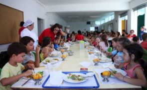 OE2023: Governo deve assegurar relatório sobre qualidade nutricional nas escolas