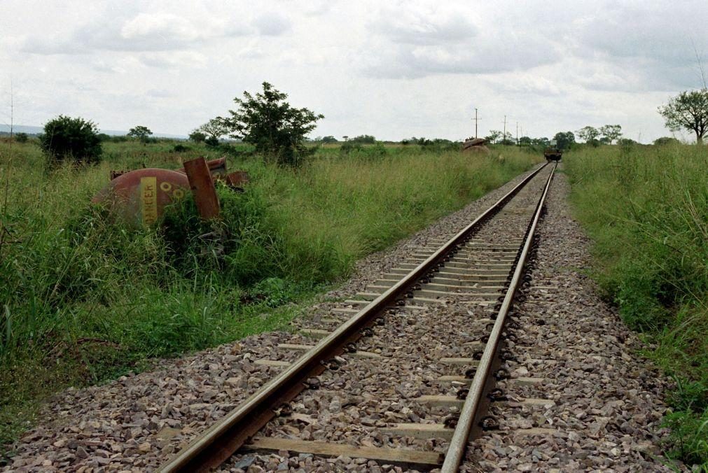 Restabelecida circulação na linha ferroviária de Cascais após atropelamento mortal
