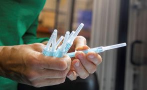 Vacina experimental contra várias estirpes de gripe pode proteger contra pandemias