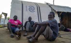 Perto de três mil pessoas fugiram no distrito de Muidumbe em Moçambique