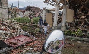 Novo balanço do sismo na Indonésia eleva número de mortes de 268 para 310