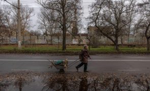 Ucrânia: Kiev proíbe exportação de lenha devido a cortes na eletricidade