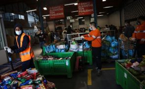 Campanha dos Bancos Alimentares contra a Fome recolhe 2.086 toneladas de alimentos
