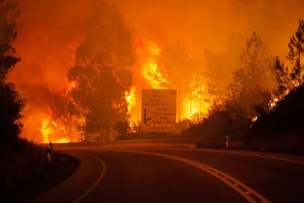 Alerta precoce poderia ter evitado maioria das mortes em Pedrógão Grande