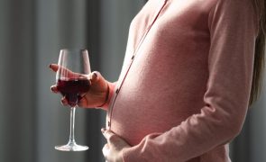 Gravidez: Descubra o mal que o consumo de álcool faz ao desenvolvimento do cérebro do feto