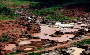 Explosão de minas mata uma pessoa e fere outra na província angolana do Cuando Cubango