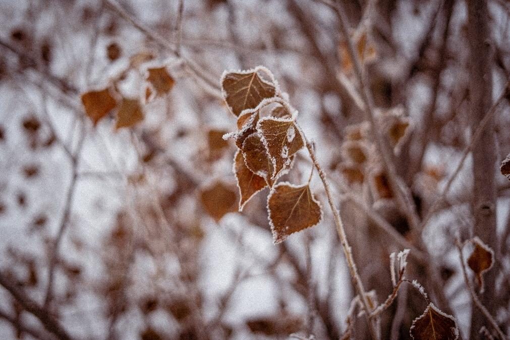 Meteorologia: Previsão do tempo para sábado, 3 de dezembro