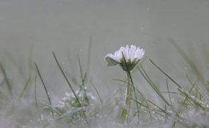 Previsão do tempo aponta frio e chuva para o feriado desta 5ª feira