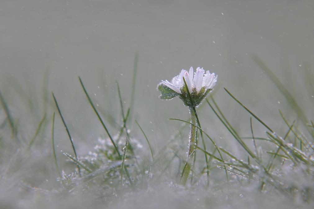 Meteorologia: Previsão do tempo para quinta-feira, 8 de dezembro