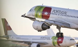 TAP diz que já foram operados 117 voos dos 148  previstos até às 17:00