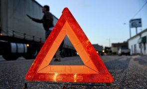 Homem morre atropelado na A1