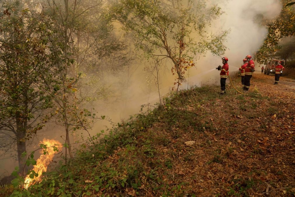 Quase 70 concelhos de 13 distritos em risco 'máximo' de incêndio
