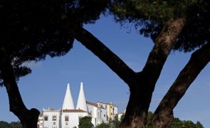 Palácio de Sintra resolve 'enigma' com 200 anos ao descobrir Casa do Conselho de Estado