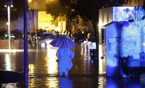 Universidade de Coimbra terá especialização em Intervenção em Contexto de Emergência e Catástrofe