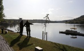 Movimento proTEJO quer avaliação de impactos de projeto espanhol no rio Tejo