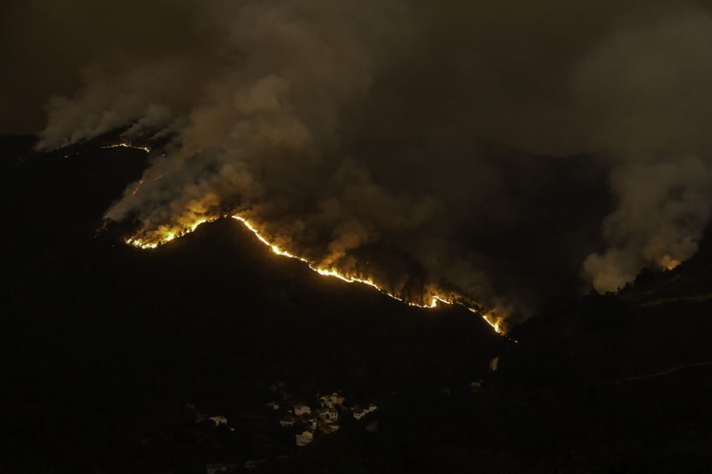 Incêndios: Mais de 200 operacionais combatem fogos em Viseu, Viana do Castelo e Braga