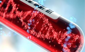 Sangue criado em laboratório testado em humanos