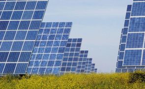 EDP Renováveis assegura contrato de 15 anos para venda de energia limpa nos EUA