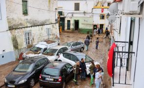 Mau tempo: Autarcas de Portalegre vão pedir ao Governo para declarar situação de calamidade