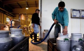 Subida do preço do leite tardia e abrupta mas necessária