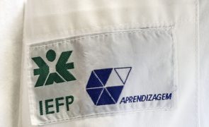 IEFP antecipa candidaturas aos estágios Ativar.pt com dotação de 75ME