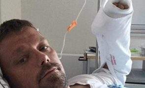 Homem mordido por gato morre... 4 anos depois