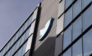 Utilizadores do Twitter votam a favor da saída de Musk da liderança