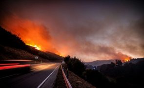 Ílhavo com menos fogos em 2022 em relação à média dos últimos 10 anos