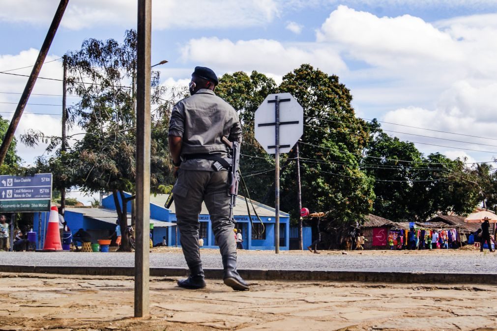 Encontrados quatro corpos numa mata em Macomia, Moçambique