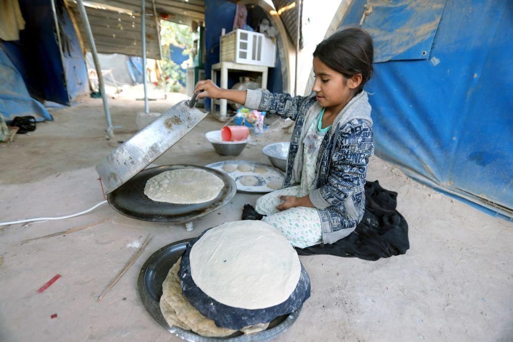 UE financia famílias vulneráveis no Iraque com 4 milhões de euros