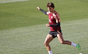 Simeone considera João Félix 