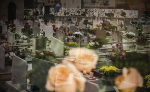 Quase todos os dias de dezembro com excesso de mortalidade