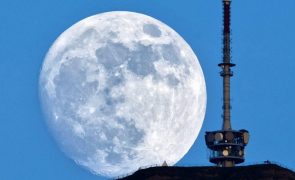 Concurso para cobertura de 'zonas brancas' será lançado até março