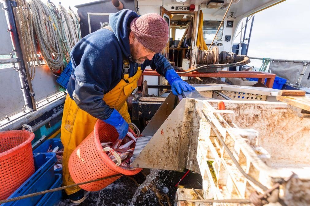 Bruxelas aprova acordo sobre pescas entre UE e Reino Unido