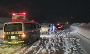 Forte nevada no Japão faz pelo menos 14 mortos e mais de meia centena de feridos