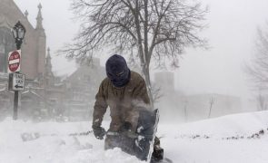 Tempestade de inverno faz mais de duas dezenas de mortos nos Estados Unidos