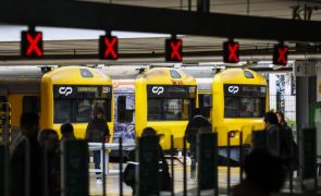 Segundo dia de greve leva à supressão de 385 comboios até às 12:00