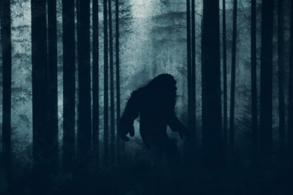 Bigfoot: Criatura verdadeira ou invenção de impostores?