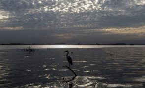 Personalidades de Portugal e Brasil defendem parceria estratégica para o clima entre UE e Brasil
