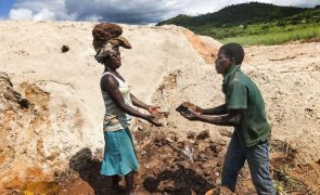 Empresa que explora rubis oferece mais de cinco toneladas de sementes a famílias moçambicanas