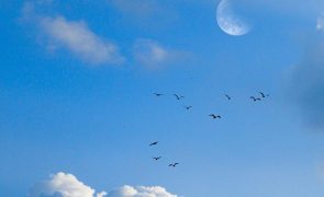 Meteorologia: Previsão do tempo para domingo, 2 de abril