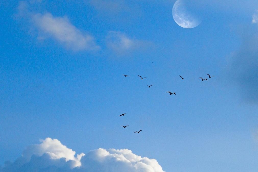 Meteorologia: Previsão do tempo para quinta-feira, 29 de dezembro