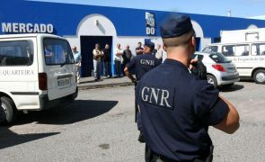 GNR fiscaliza lotas e mercados para garantir condições de peixe, crustáceos e bivalves