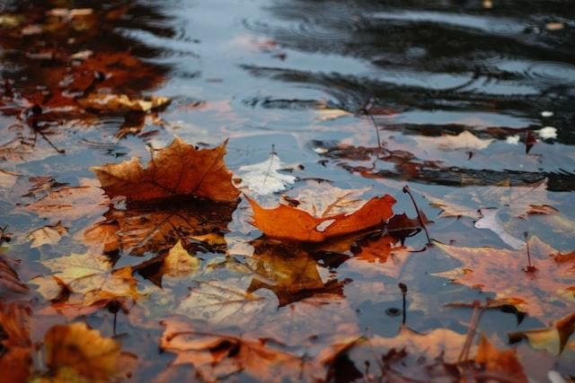 Meteorologia: Previsão do tempo para sexta-feira, 30 de dezembro