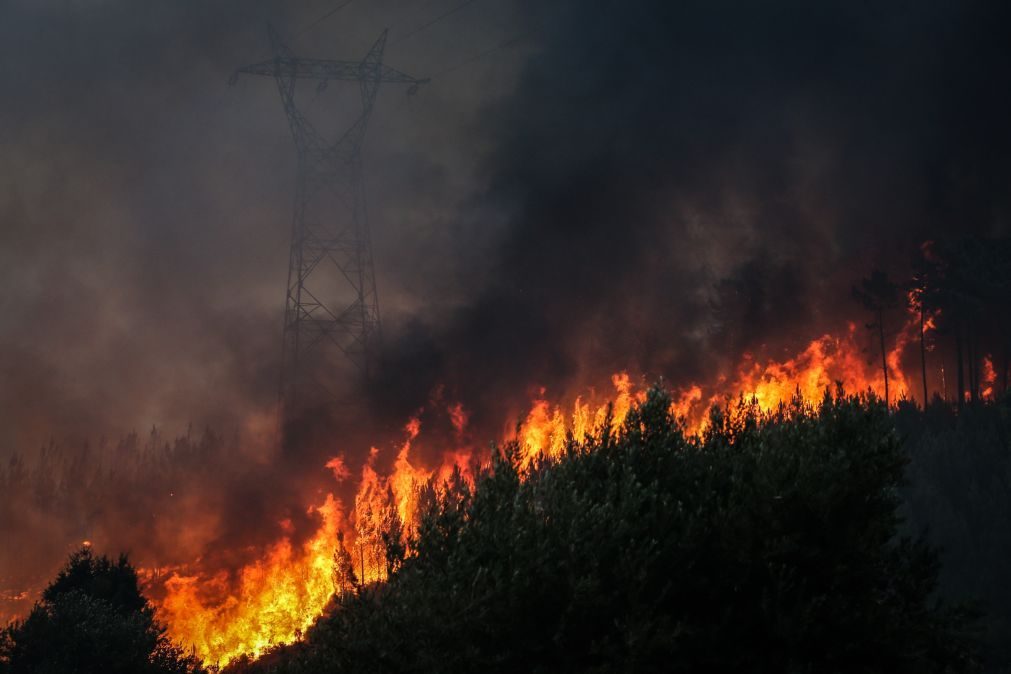 Incêndios: Aeronaves italianas de combate a fogos estão a ser enviadas para Portugal