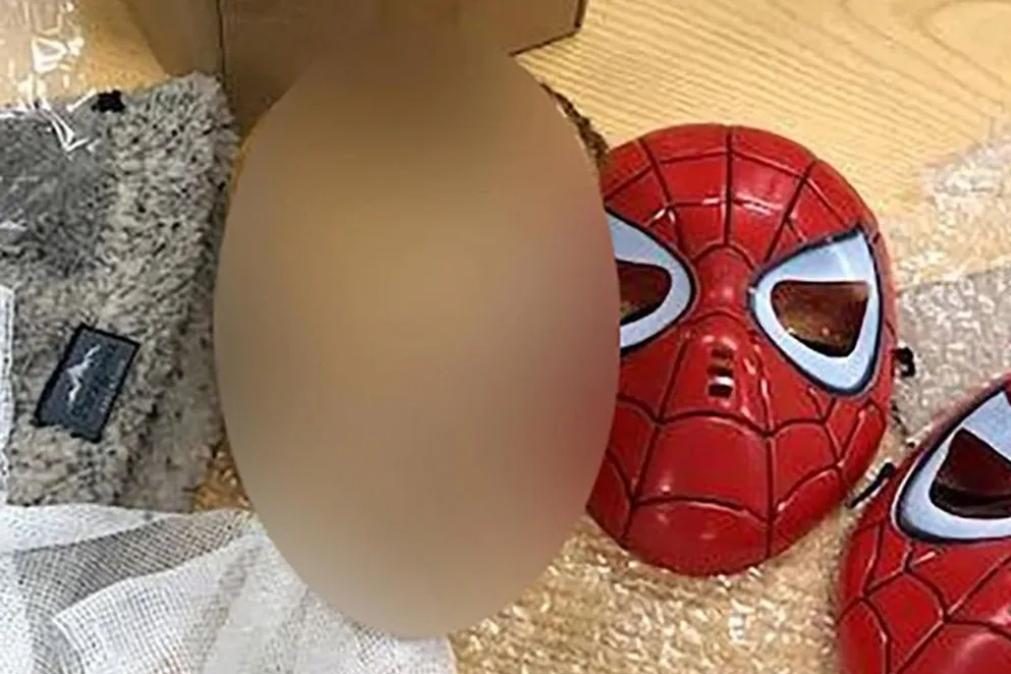 Descoberta cabeça de criança em pacote enviado para celebridade