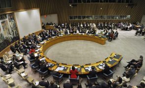 Conselho de Segurança da ONU discute tensões entre Israel e Palestina