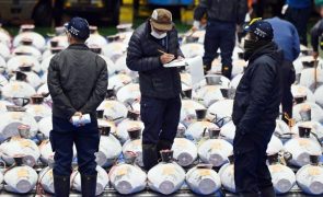 Atum vendido por 256 mil euros no primeiro leilão do ano em Tóquio